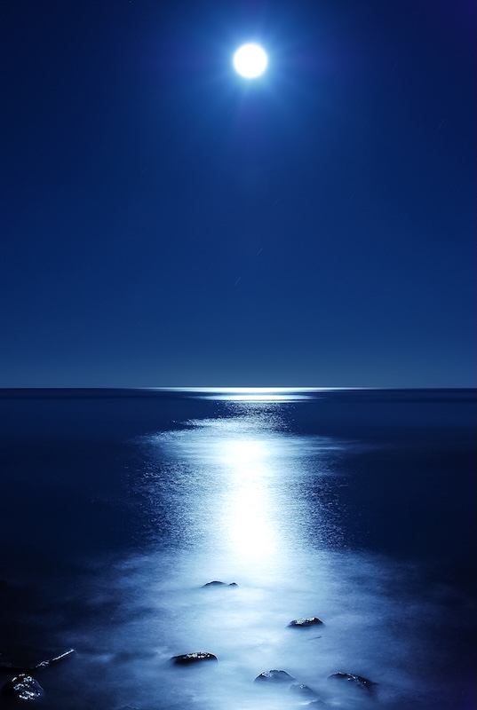 夜の海に浮かぶ月の写真